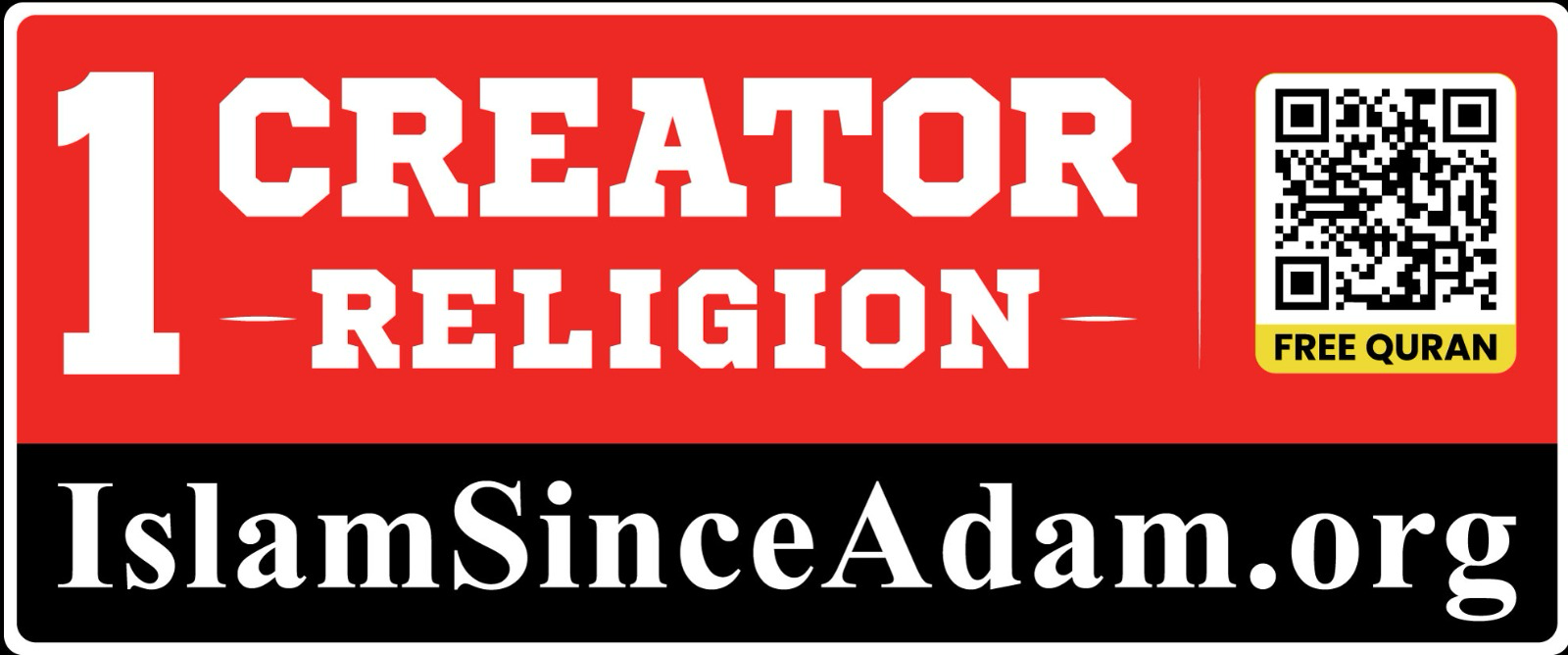 Bumper Sticker - Regular