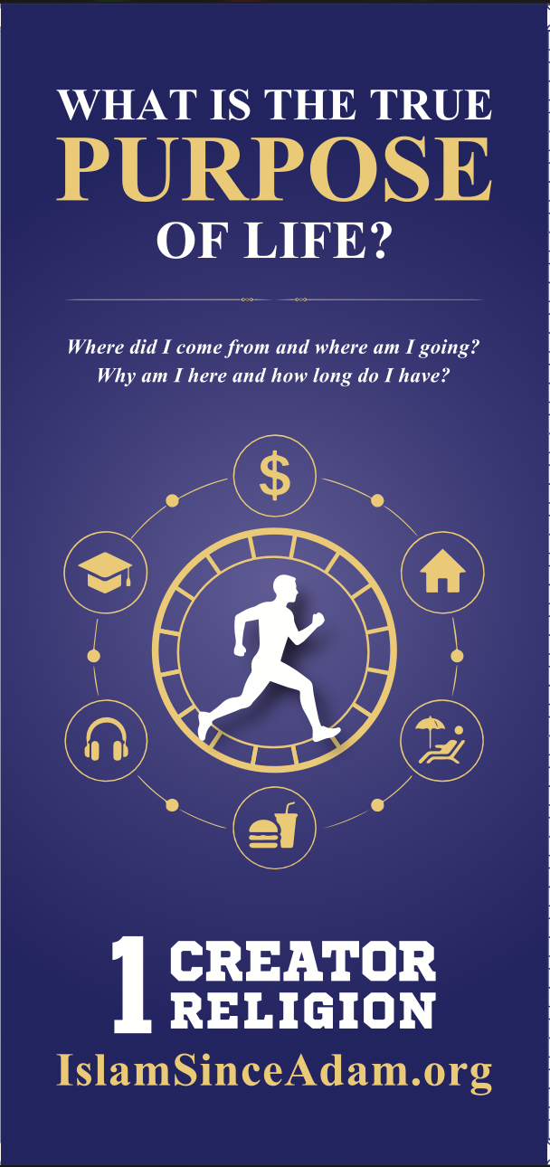 Flyer: The Purpose of Life